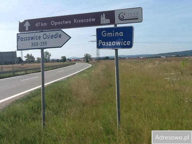 Działka inwestycyjna Paszowice. Zdjęcie 5