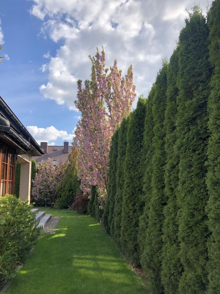 dom wolnostojący, 7 pokoi Stanisławów Pierwszy, ul. Cyprysowa. Zdjęcie 7