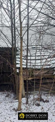 dom wolnostojący, 1 pokój Ostrów Północny. Zdjęcie 5