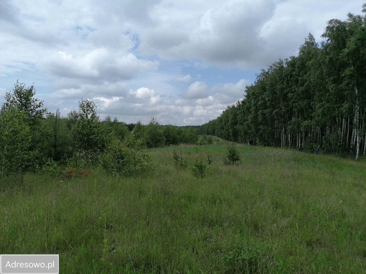 Działka rolna Karczewko, ul. Olchowa. Zdjęcie 4