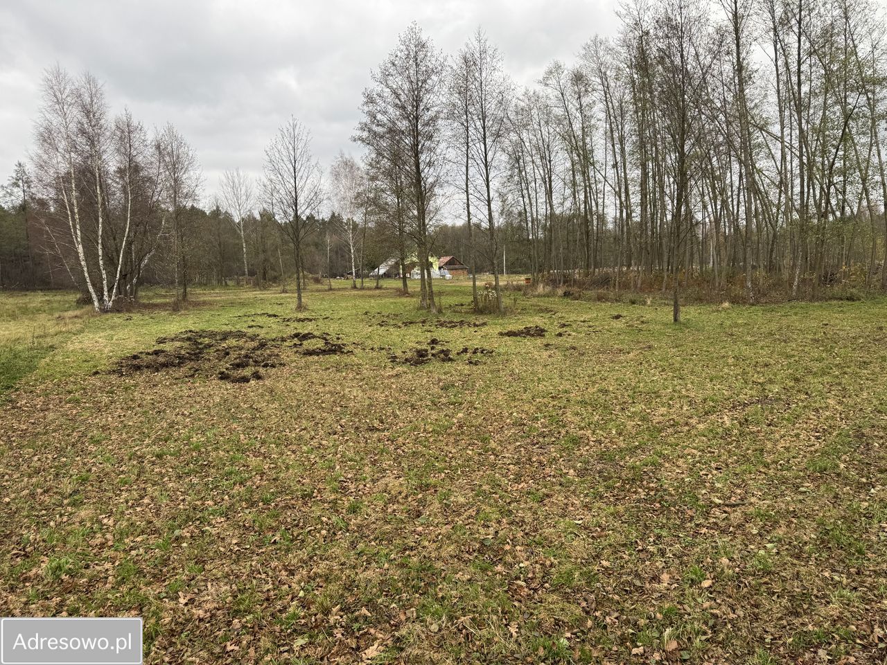 Działka budowlana Smolarzyny. Zdjęcie 8