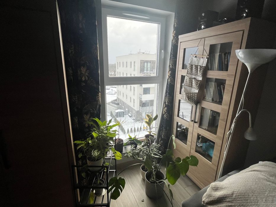 Mieszkanie 2-pokojowe Bydgoszcz. Zdjęcie 4