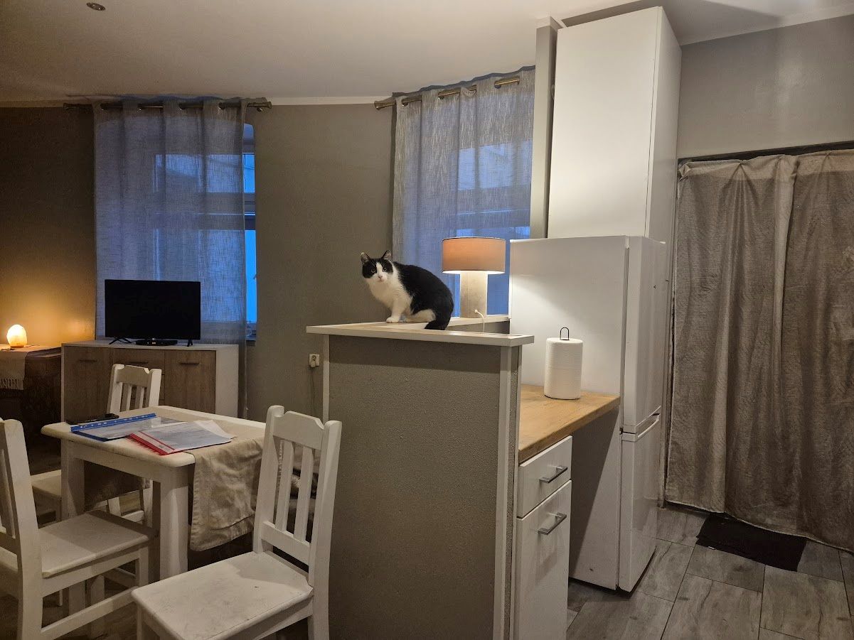 Mieszkanie 2-pokojowe Częstochowa Centrum, ul. Ogrodowa. Zdjęcie 5