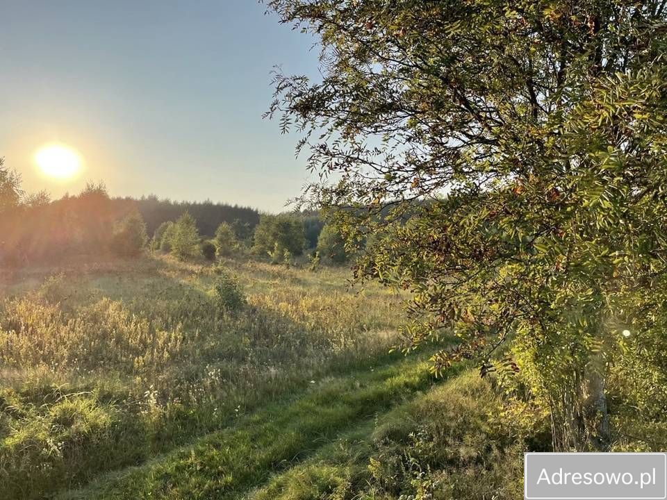 Działka rolna Mechowo. Zdjęcie 3