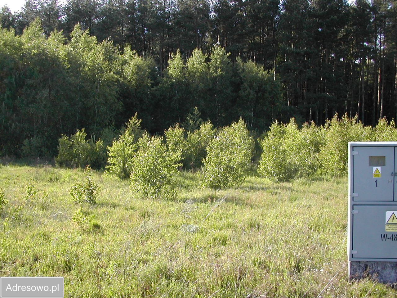 Działka budowlana Parszczyce, ul. Leśna. Zdjęcie 4