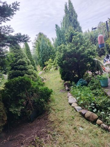 Działka rod Kalina. Zdjęcie 1