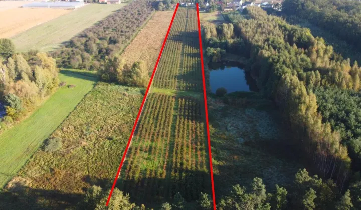 Działka rolna Beznatka Korek