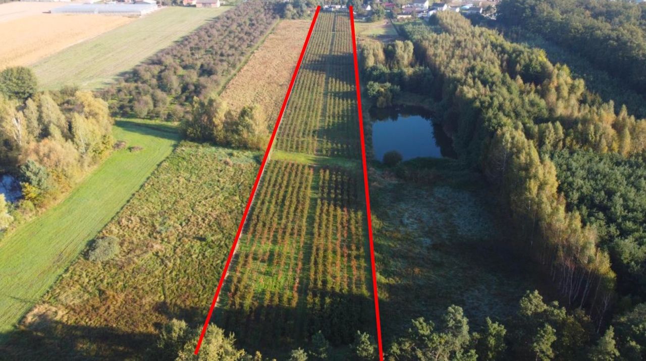 Działka rolna Beznatka Korek