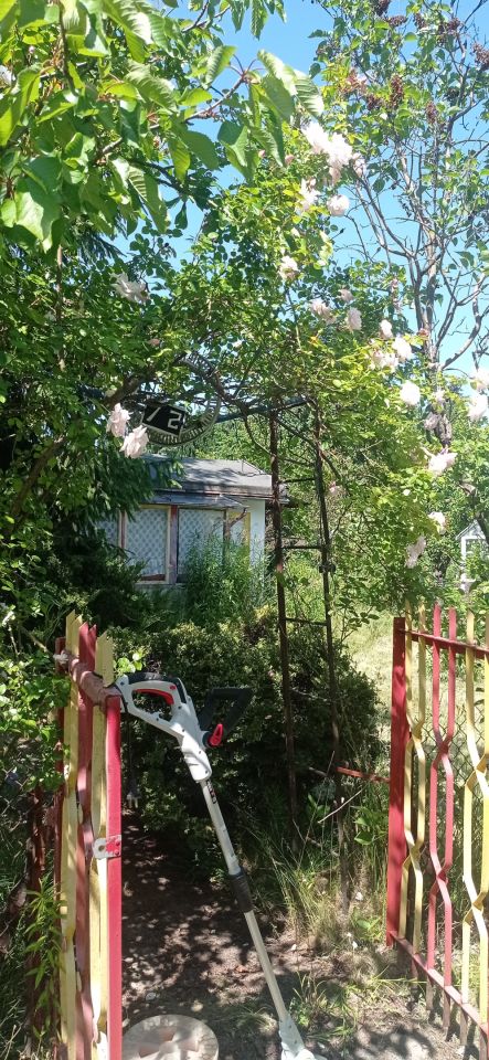 Działka rod Łódź Widzew, ul. Lodowa. Zdjęcie 18