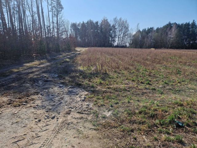 Działka budowlana Brzóza, ul. Stara Brzóza. Zdjęcie 1