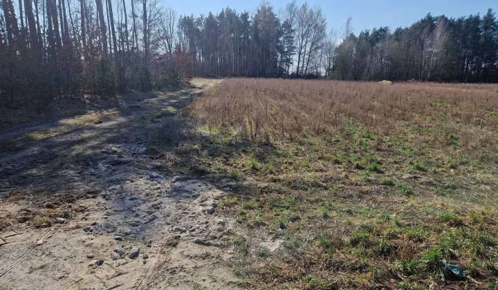 Działka budowlana Brzóza, ul. Stara Brzóza