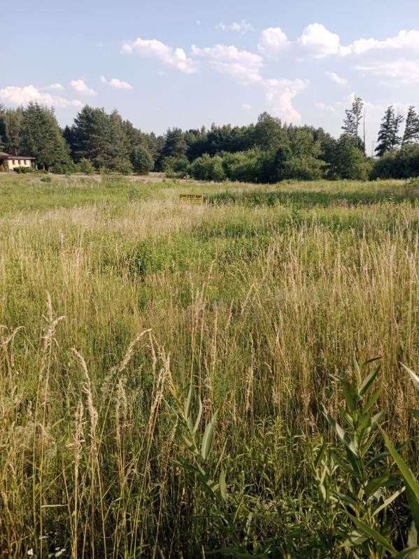 Działka budowlana Boluminek. Zdjęcie 1