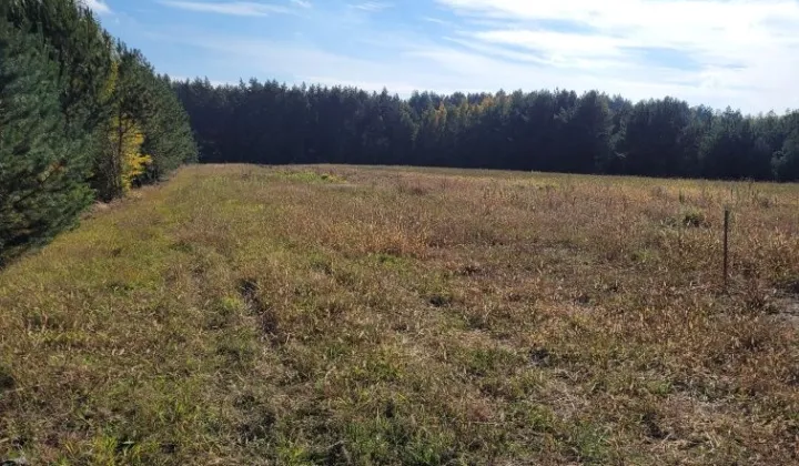 Działka budowlana Wysychy, ul. Bajkowa