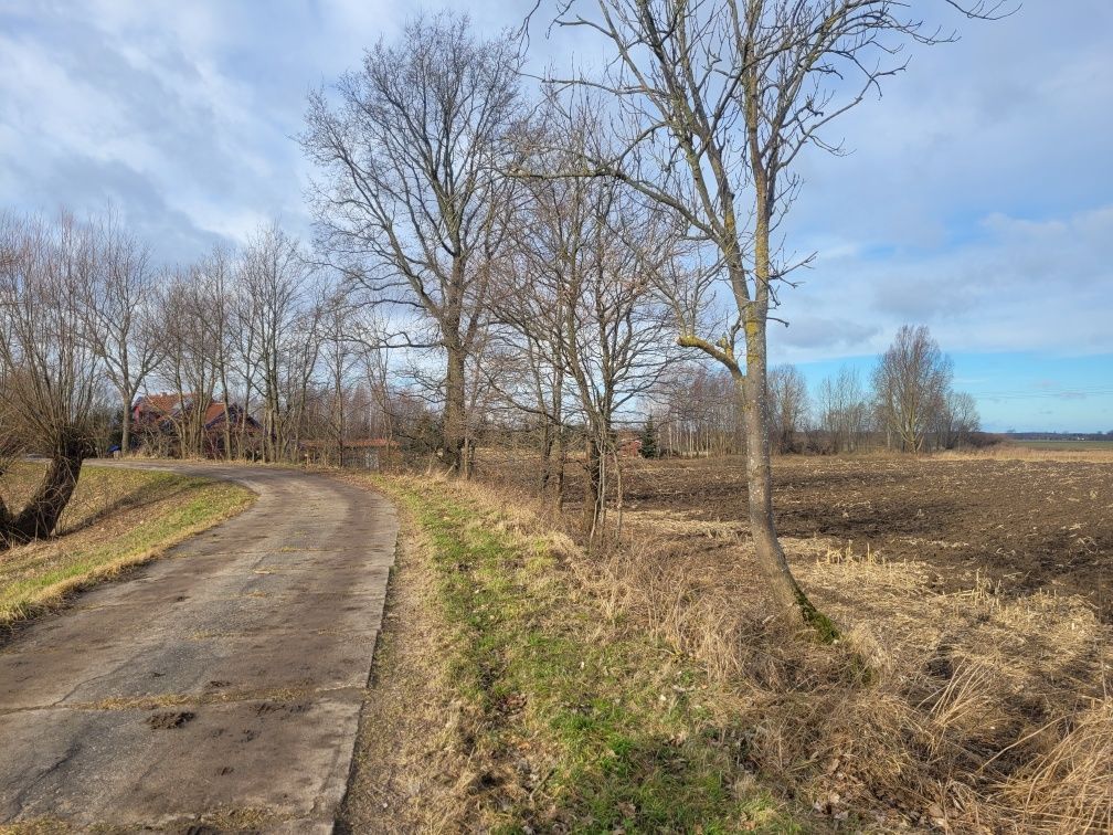 Działka rekreacyjna Chorążówka. Zdjęcie 2