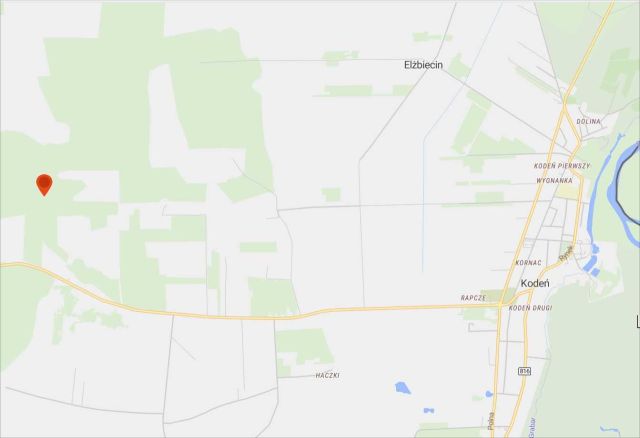 Działka leśna Kodeń. Zdjęcie 1