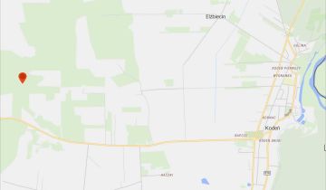 Działka leśna Kodeń