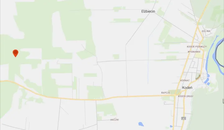 Działka leśna Kodeń
