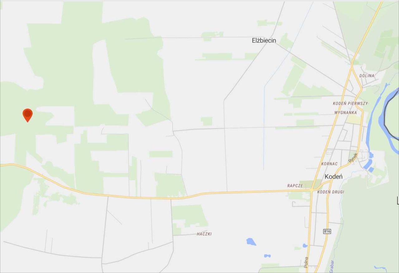 Działka leśna Kodeń