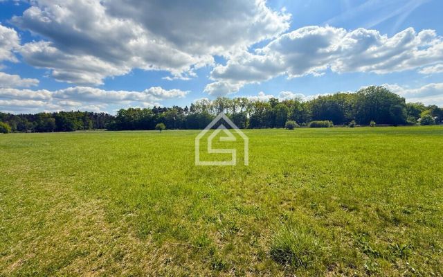 Działka rolna Wola Batorska. Zdjęcie 3