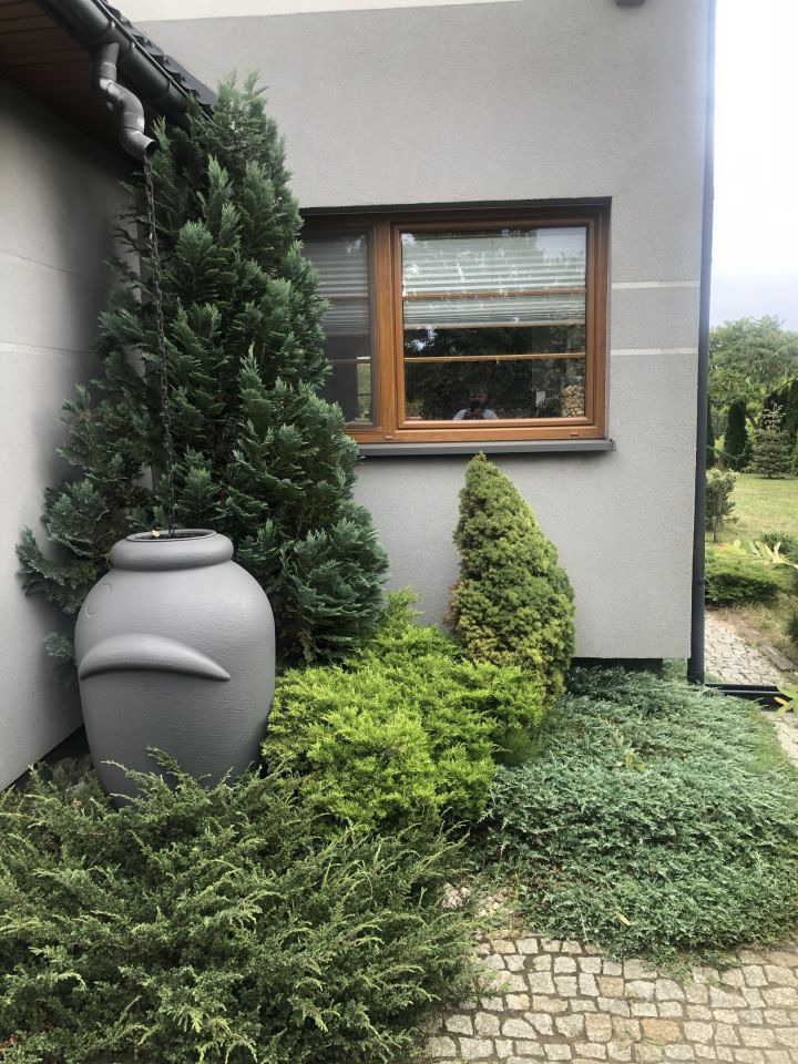 dom wolnostojący, 5 pokoi Pruszków Żbików, ul. Krzysztofa Kamila Baczyńskiego. Zdjęcie 7