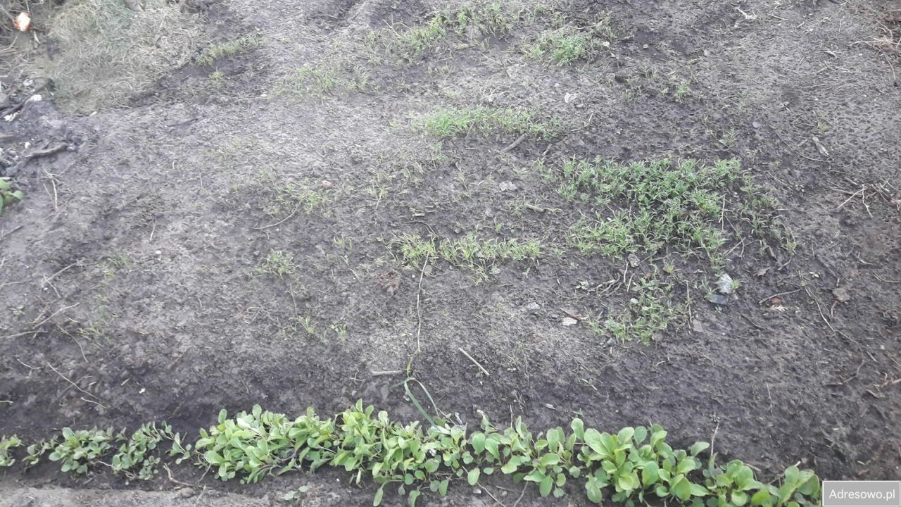 dom wolnostojący, 2 pokoje Pułtusk Popławy, ul. Brzozowa. Zdjęcie 8