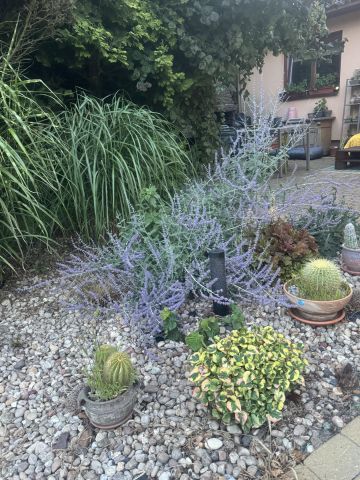 dom wolnostojący, 4 pokoje Huta Żabiowolska, Główna. Zdjęcie 32