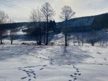 Działka budowlana Stary Gierałtów. Zdjęcie 1
