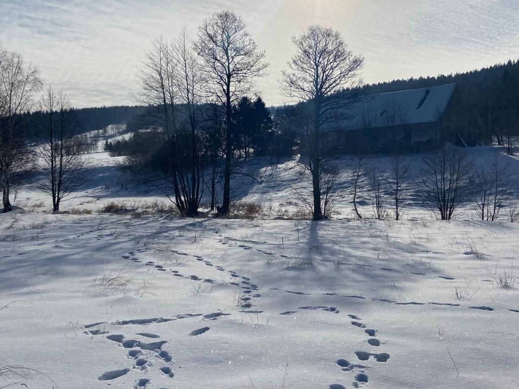 Działka budowlana Nowy Gierałtów. Zdjęcie 2