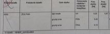 Działka rolna Żołynia Kopanie Żołyńskie. Zdjęcie 1