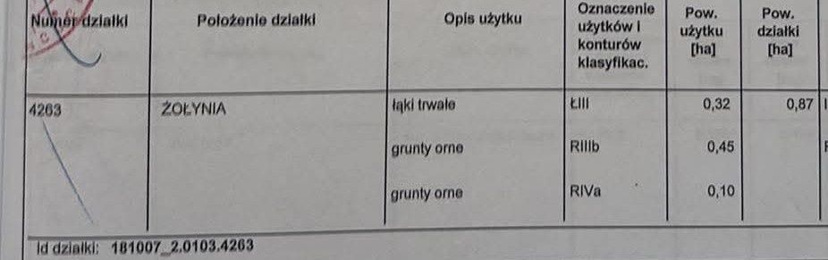 Działka rolna Żołynia Kopanie Żołyńskie. Zdjęcie 2