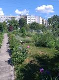 Działka rod Wrocław Psie Pole, ul. Henryka Michała Kamieńskiego. Zdjęcie 1