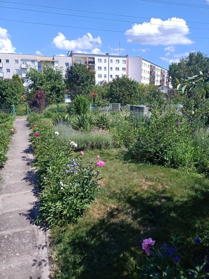 Działka rod Wrocław Psie Pole, ul. Henryka Michała Kamieńskiego. Zdjęcie 2