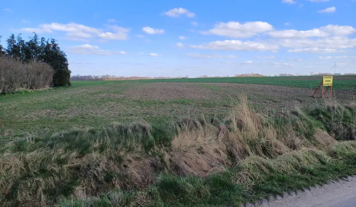 Działka budowlana Skrzeszewo