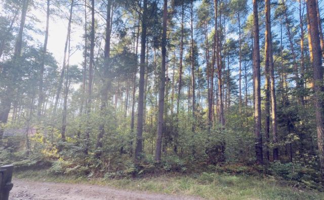 Działka Żarki-Letnisko, ul. Wiejska. Zdjęcie 1