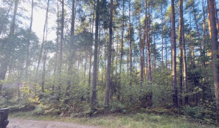 Działka Żarki-Letnisko, ul. Wiejska