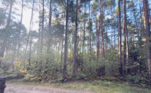 Działka Żarki-Letnisko, ul. Wiejska