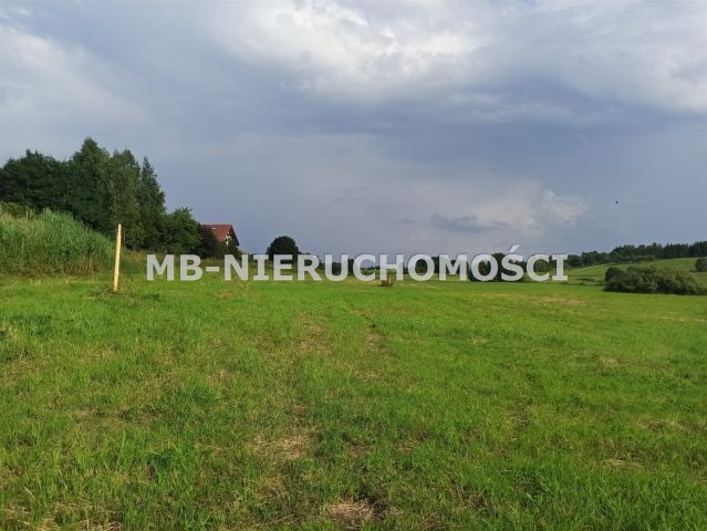 Działka rolna Różnowo. Zdjęcie 4