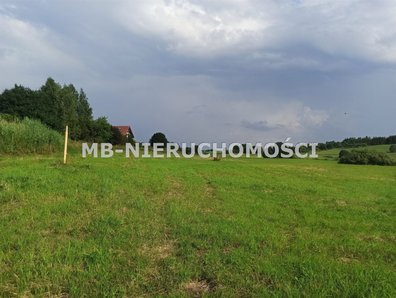 Działka rolna Różnowo. Zdjęcie 4