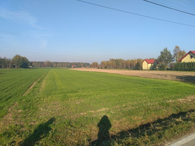 Działka rolno-budowlana Cichawa. Zdjęcie 1