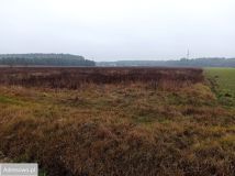 Działka budowlana Kamieńczyk. Zdjęcie 4