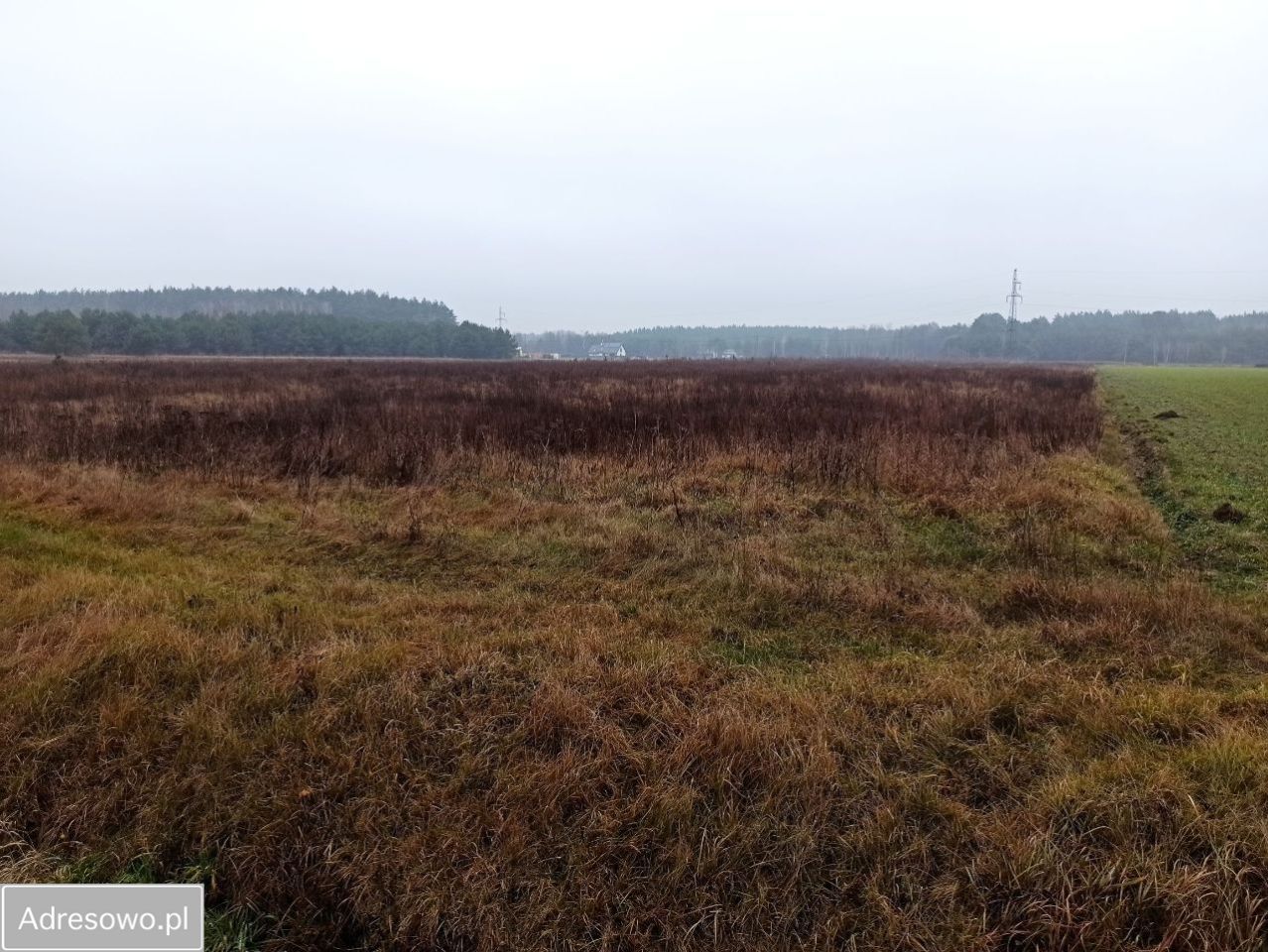 Działka budowlana Kamieńczyk. Zdjęcie 5