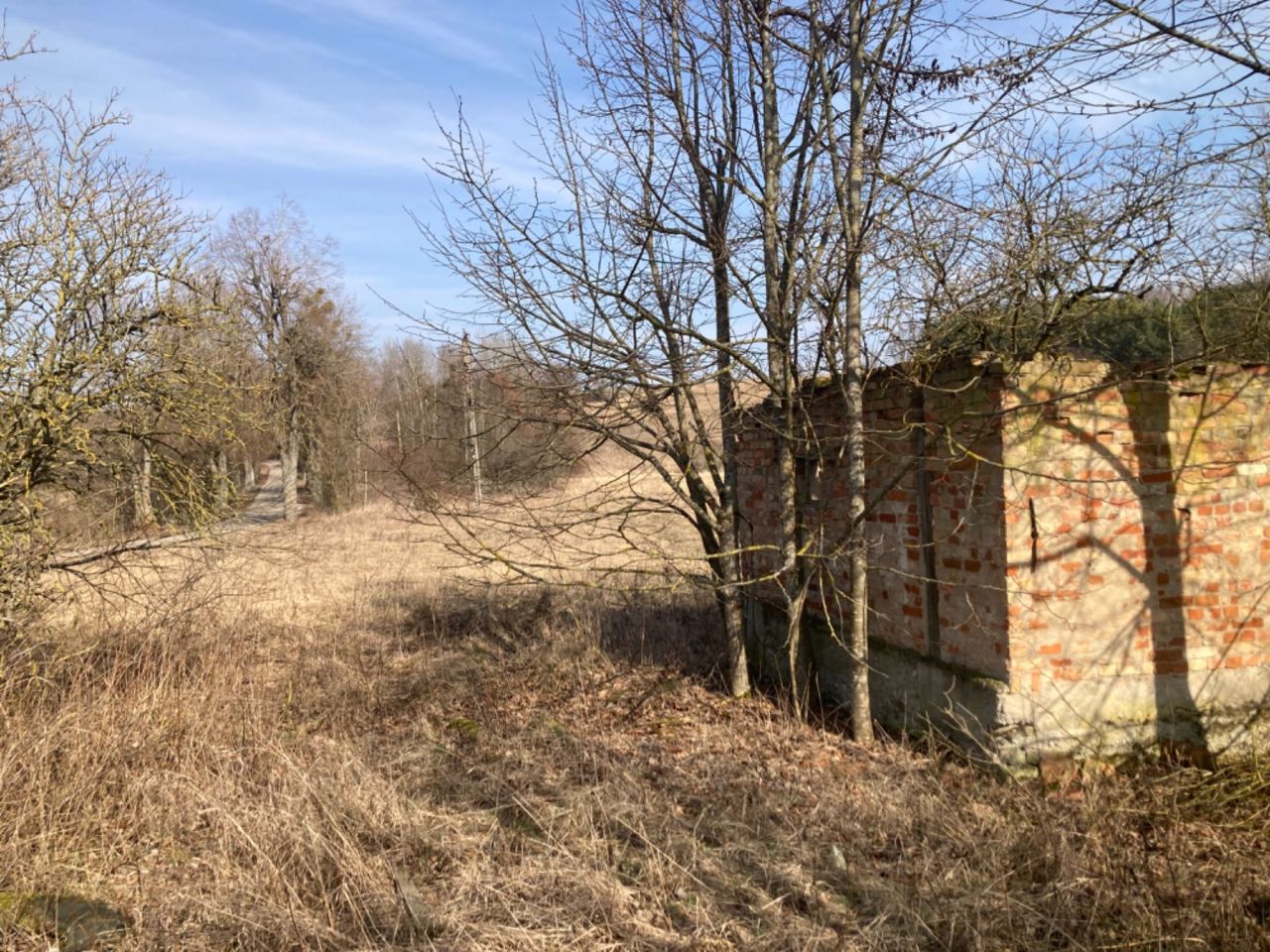 Działka rolna Pietrasze. Zdjęcie 8