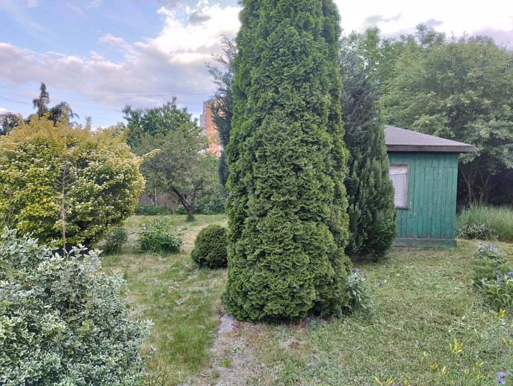 Działka rekreacyjna Warszawa Praga-Południe, al. Jerzego Waszyngtona