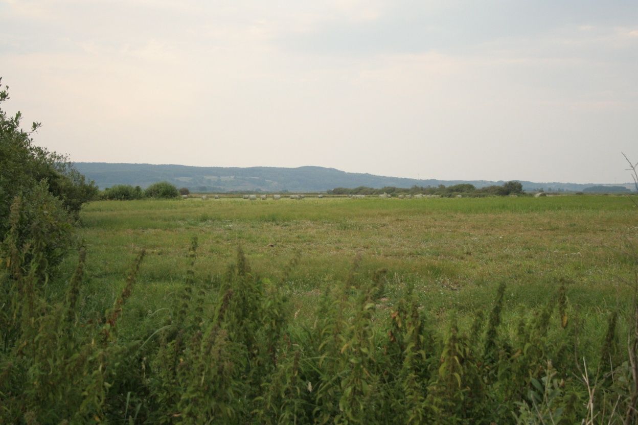 Działka rolna Strzelce. Zdjęcie 3