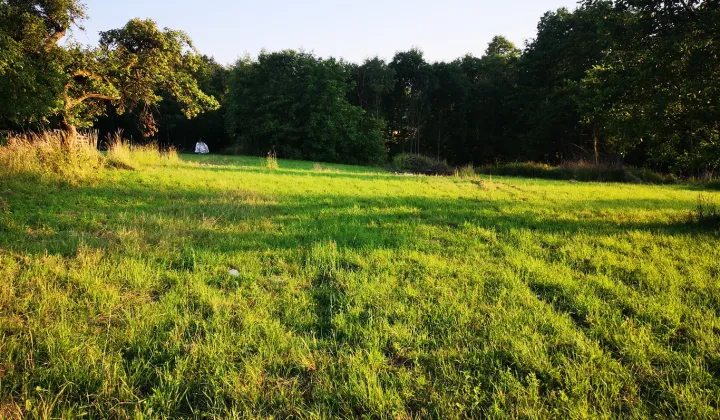 Działka budowlana Wieprz, ul. Graniczna