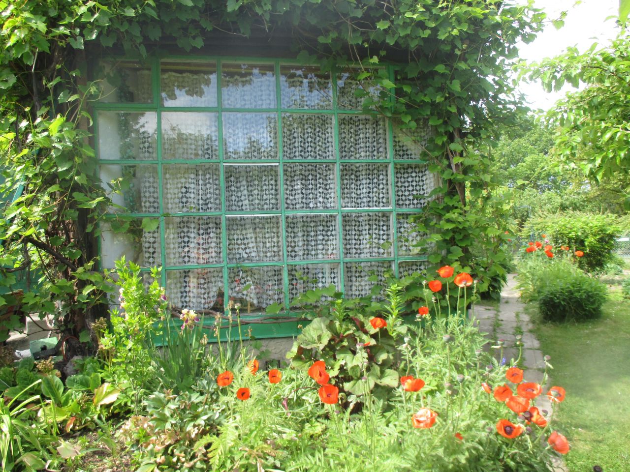 Działka rekreacyjna Elbląg Bielany, ul. Fromborska