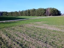 Działka rolno-budowlana Rzeczyca, ul. Przeciętka. Zdjęcie 2