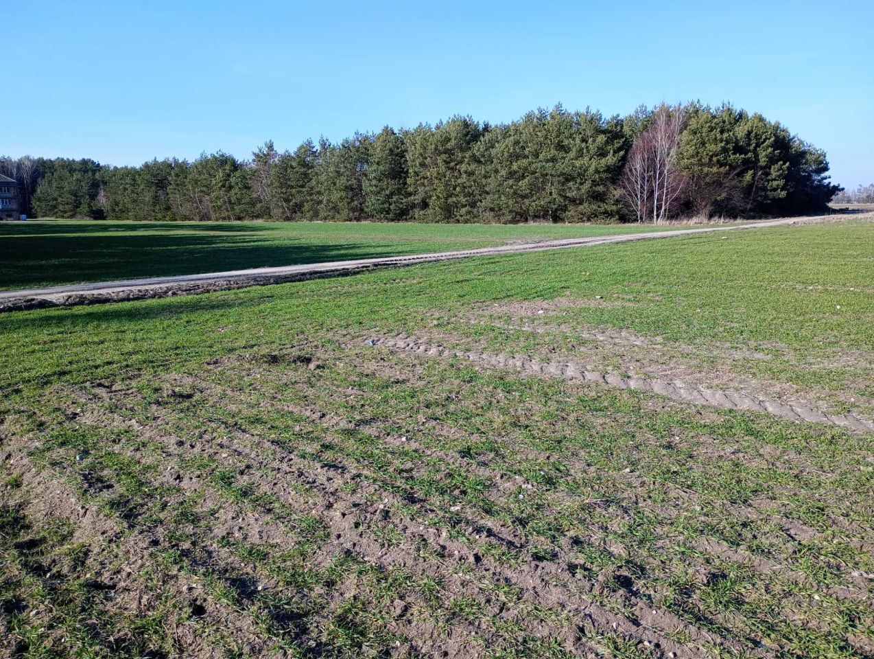 Działka rolno-budowlana Rzeczyca, ul. Przeciętka. Zdjęcie 3