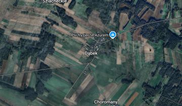 Działka leśna Dąbek