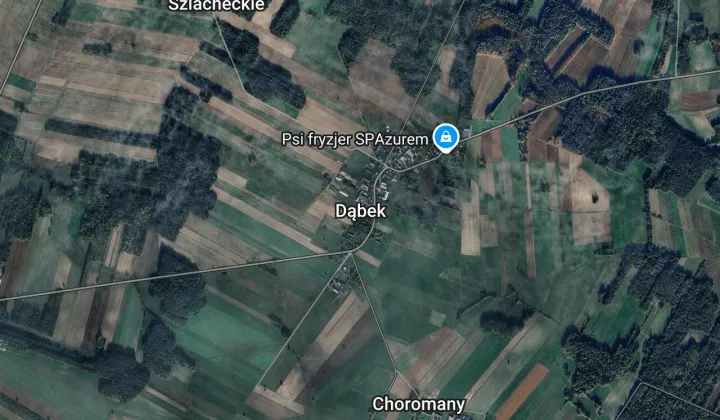 Działka leśna Dąbek